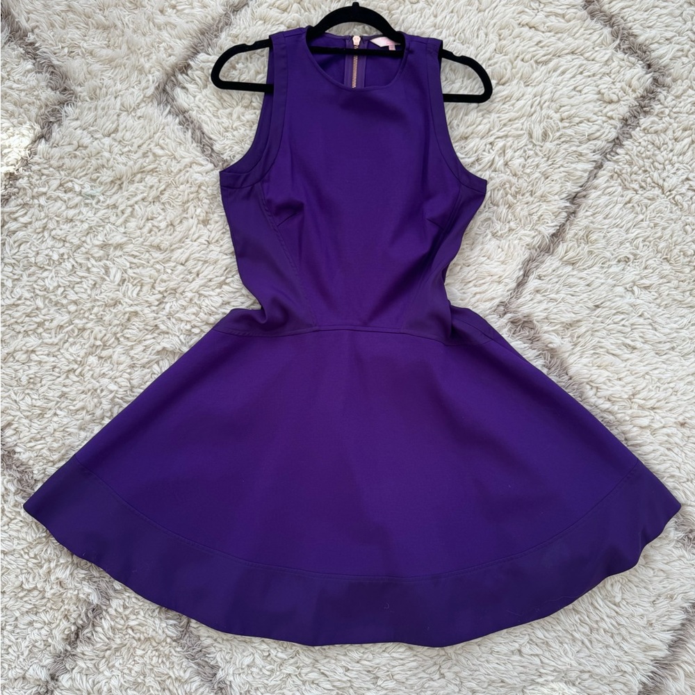 Ted Baker Jimena Fit & Flare Dress – Size 2 (US 6)